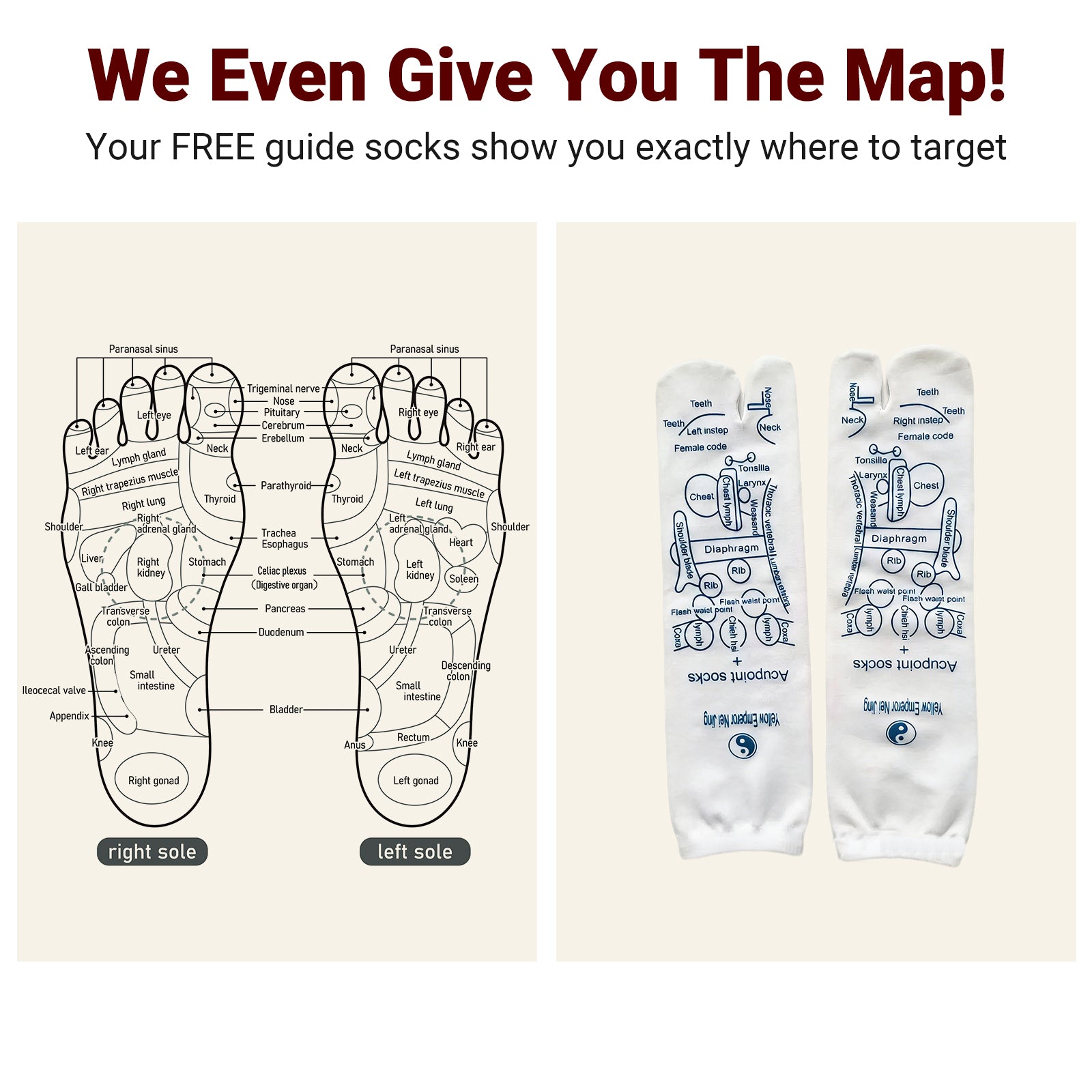 Free included acupressure reflexology socks with printed foot map for targeted massage guide