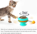 Interactive Turntable Kitten Toys with Catnip Balls