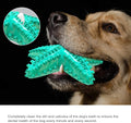 New Starfish Design Chewer for Aggressive Dog Small Medium Large Dogs